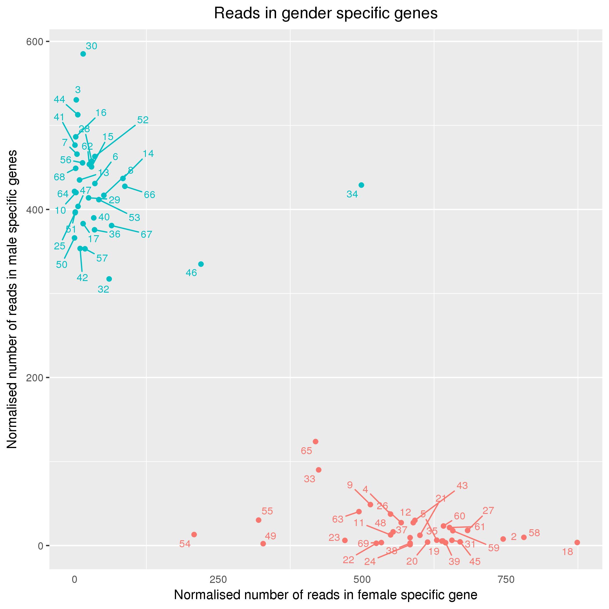 GenderSpecificExpression